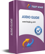 Audio Guide